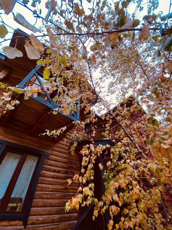Boutigue Hotel Nebesa Chimgan Kültér fotó